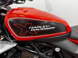 2024 Harley-Davidson HD350-10 H-DX X350 SILVER