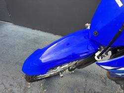 2025 Yamaha TTR125LWE BLUE