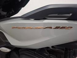 2023 Honda FORZA 350 (NSS350A) Grey