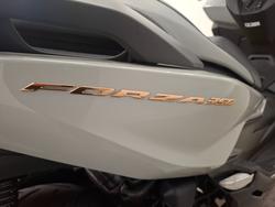 2023 Honda FORZA 350 (NSS350A) Grey