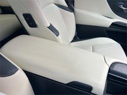 2021 Lexus ES 300h Sports Luxury