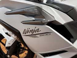 2024 Kawasaki NINJA 500 WHITE