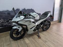 2025 Kawasaki NINJA 500 WHITE