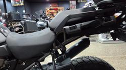 2025 Harley-Davidson 2025 Harley-Davidson 1250CC RA1250S PAN AMERICA SPECIAL DUAL GREY