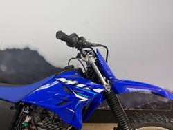 2026 Yamaha TT-R230 PURPLISH B