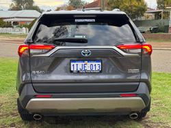 2024 Toyota RAV4 Cruiser