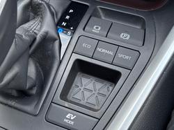 2024 Toyota RAV4 Cruiser
