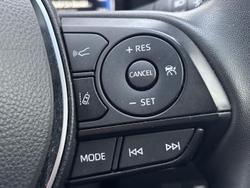 2024 Toyota RAV4 Cruiser