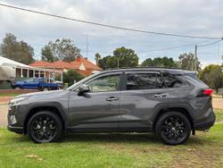 2024 Toyota RAV4 Cruiser