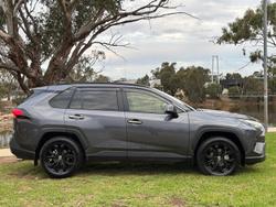 2024 Toyota RAV4 Cruiser