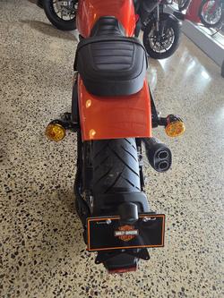 2024 Harley-Davidson X 500