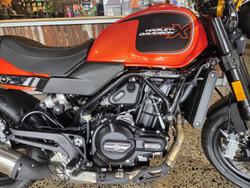 2024 Harley-Davidson X 500