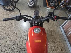 2024 Harley-Davidson X 500