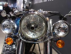 2013 Harley-Davidson Softail Deluxe 1690 (FLSTN) Softail Green