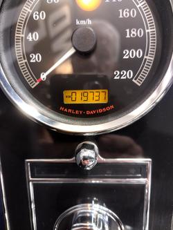 2013 Harley-Davidson Softail Deluxe 1690 (FLSTN) Softail Green