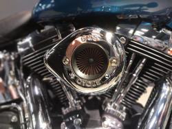 2013 Harley-Davidson Softail Deluxe 1690 (FLSTN) Softail Green