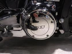 2013 Harley-Davidson Softail Deluxe 1690 (FLSTN) Softail Green