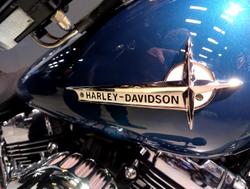 2013 Harley-Davidson Softail Deluxe 1690 (FLSTN) Softail Green
