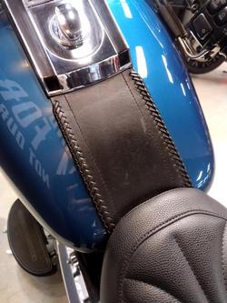2013 Harley-Davidson Softail Deluxe 1690 (FLSTN) Softail Green