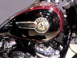 2022 Harley-Davidson Fat Boy 114 (FLFBS) Softail Black