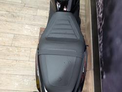 2024 HARLEY-DAVIDSON HD350-10 H-DX X350 Black