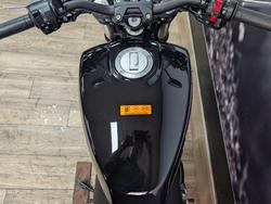 2024 HARLEY-DAVIDSON HD350-10 H-DX X350 Black