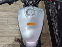 2024 HARLEY-DAVIDSON HD350-10 H-DX X350 SILVER