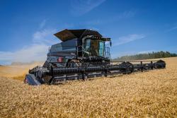 2019 MF Ideal 9 Harvester