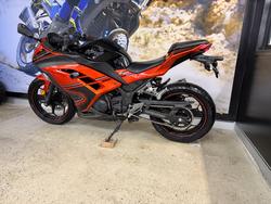 2014 Kawasaki NINJA 300 ORANGE