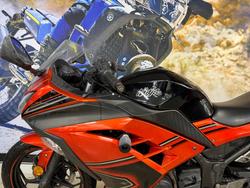 2014 Kawasaki NINJA 300 ORANGE