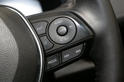 2022 Toyota RAV4 Cruiser