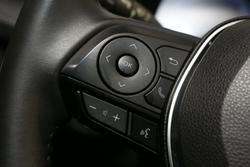 2022 Toyota RAV4 Cruiser