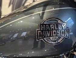 2026 Harley-Davidson Street Glide Limited 117 (FLHXL) Touring