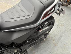 2024 HARLEY-DAVIDSON HD350-10 H-DX X350 SILVER