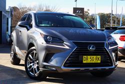 2019 Lexus NX 300 Luxury