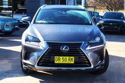 2019 Lexus NX 300 Luxury