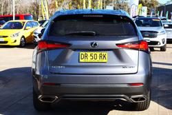 2019 Lexus NX 300 Luxury