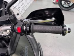 2013 Triumph Tiger 800 XC ABS Tiger Green