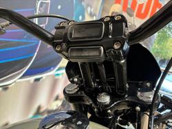 2021 Harley-Davidson Street Bob 114 (FXBBS) Softail Green