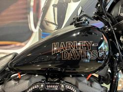 2024 Harley-Davidson Low Rider S 117 (FXLRS) Softail Black