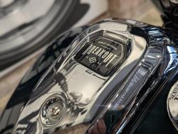 2024 Harley-Davidson Breakout 117 (FXBR) Softail Green