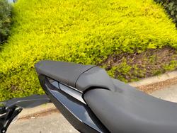 2025 Triumph DAYTONA 660 (LAMS) Red