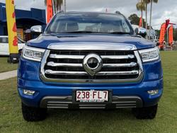 2022 GWM Ute Cannon-L