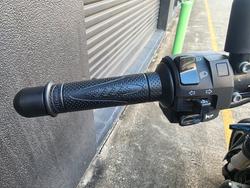 2021 Benelli 502C GREY