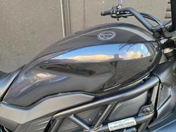 2021 Benelli 502C GREY