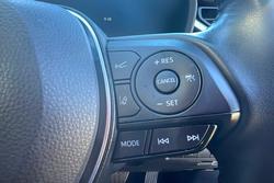 2023 Toyota RAV4 Cruiser