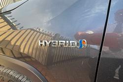 2023 Toyota RAV4 Cruiser