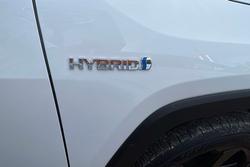2020 Toyota RAV4 Cruiser
