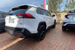2020 Toyota RAV4 Cruiser