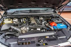 2021 Ford Everest Trend